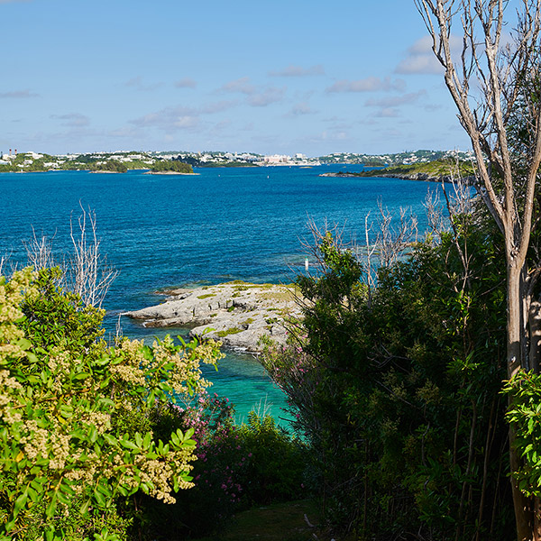 The Island - Nature Trails