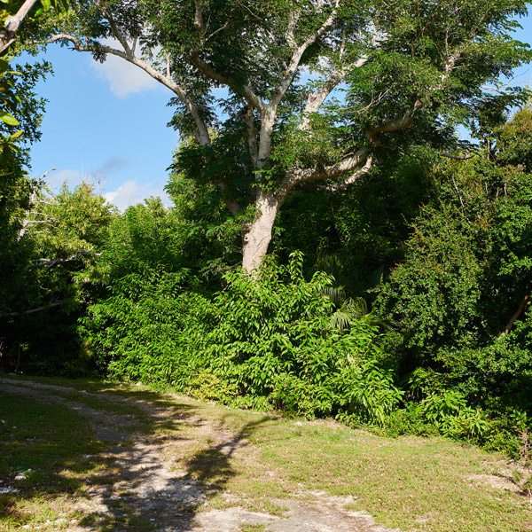 The Island - Nature Trails