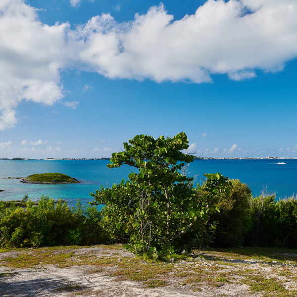 The Island - Nature Trails