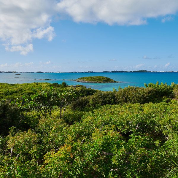 The Island - Nature Trails
